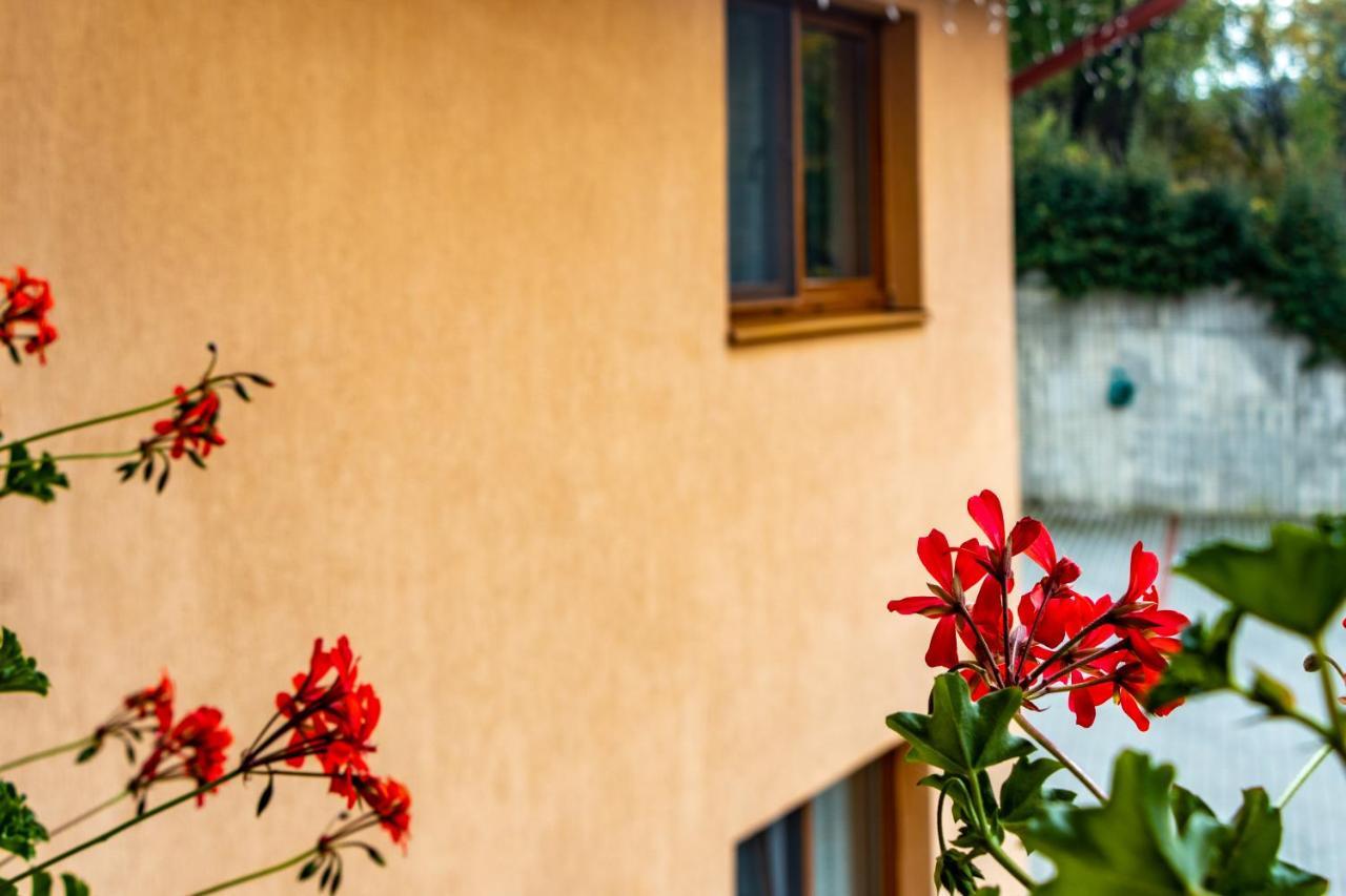 Casa Tofi Vendeghaz Aparthotel Praid Luaran gambar